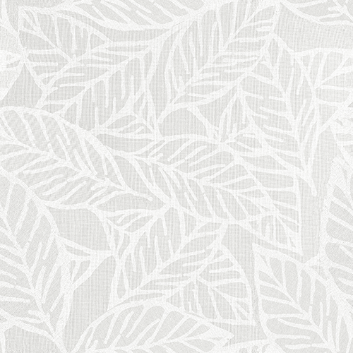 ARUBA_WHITE.png