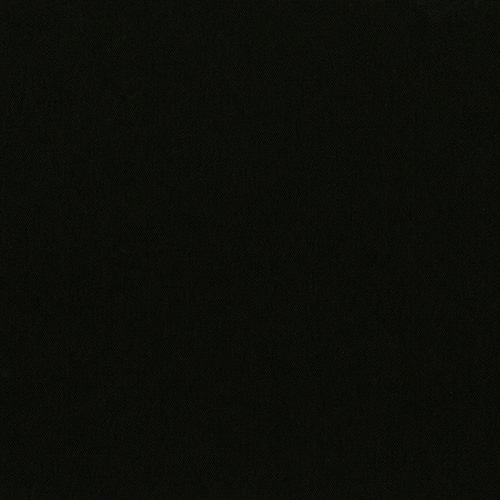 CARNIVAL_BLACKOUT_RAVEN-1.jpg