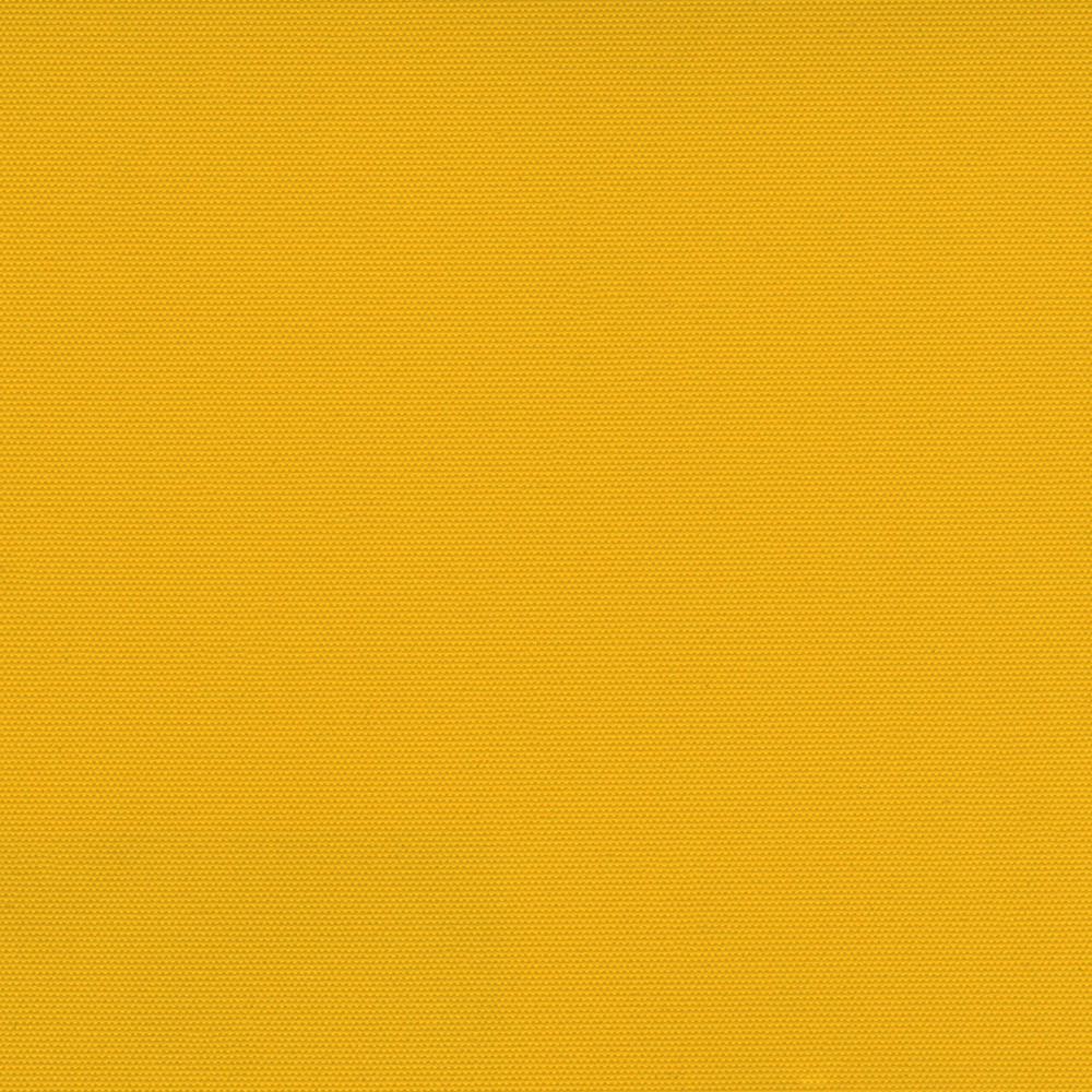 CARNIVAL_BO_OCHRE.jpg