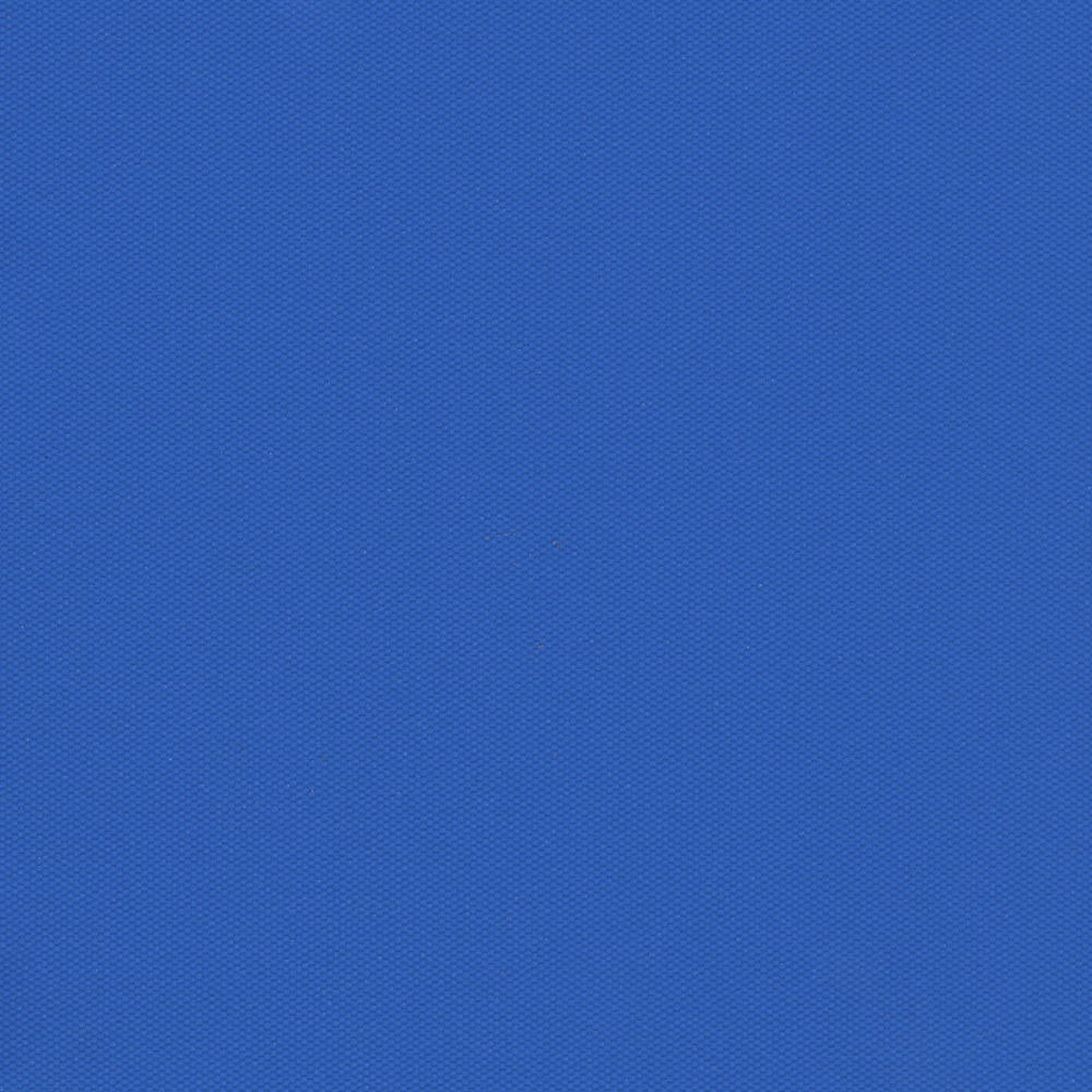 CARNIVAL_BO_PACIFIC.jpg