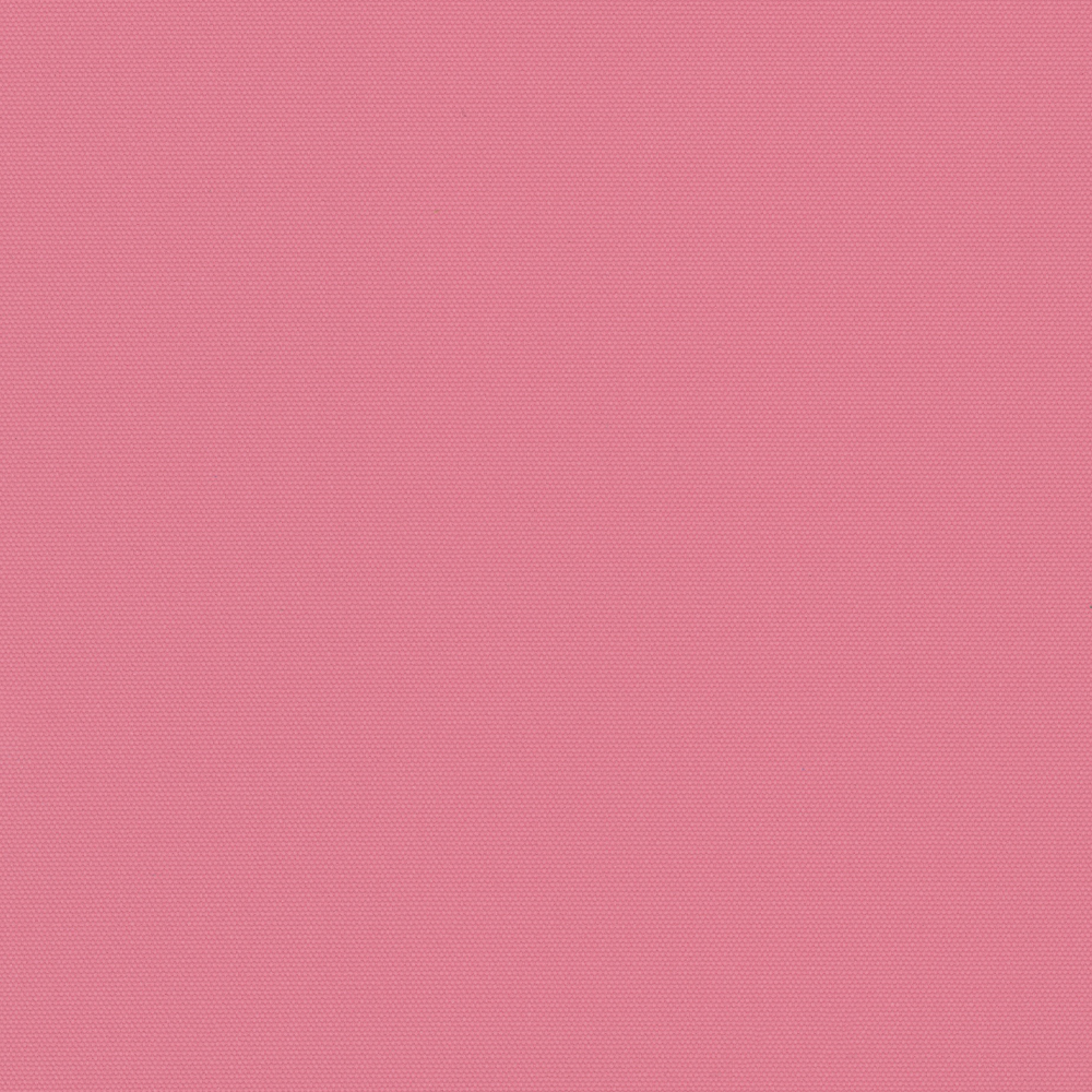 CARNIVAL_BUBBLEGUM.jpg