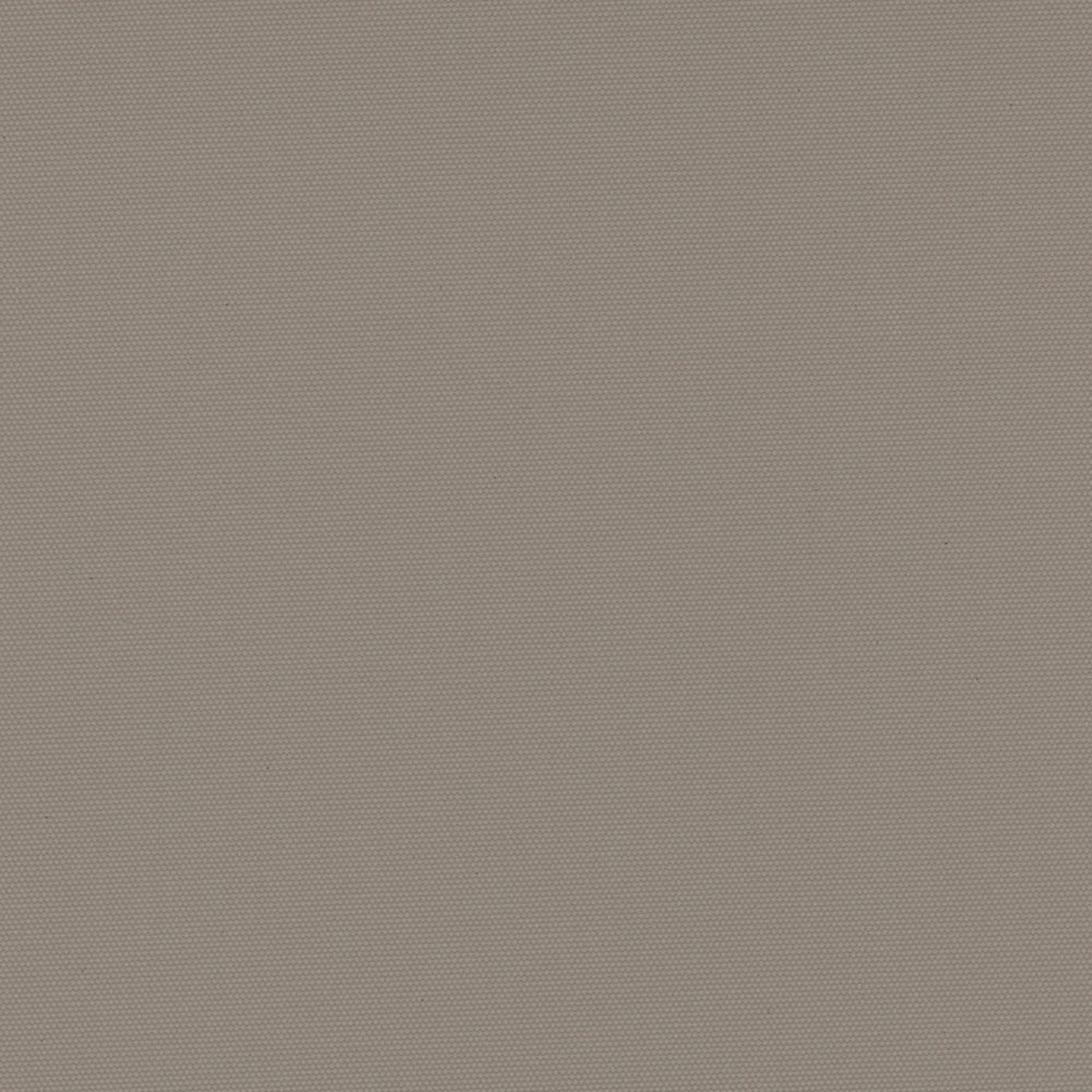 CARNIVAL_TAUPE.jpg