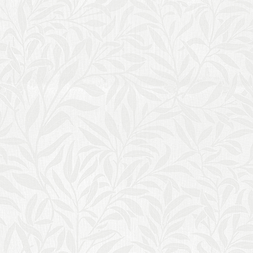CHARLOTTE_WHITE-1.png