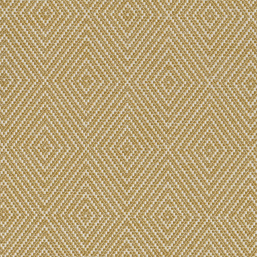DUNHAM_BO_OCHRE.jpg