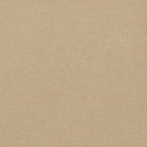 GUARDIAN_PARCHMENT-1.jpg