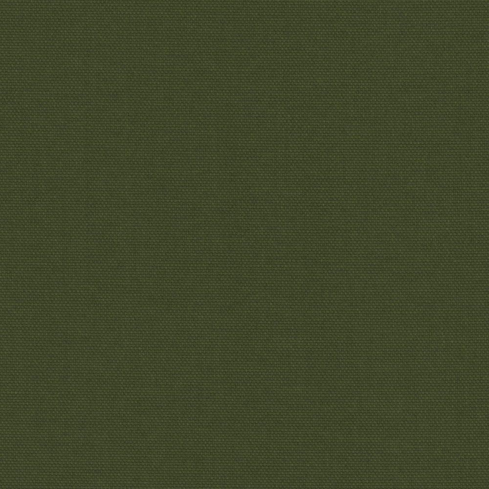POP_BO_FERN.jpg