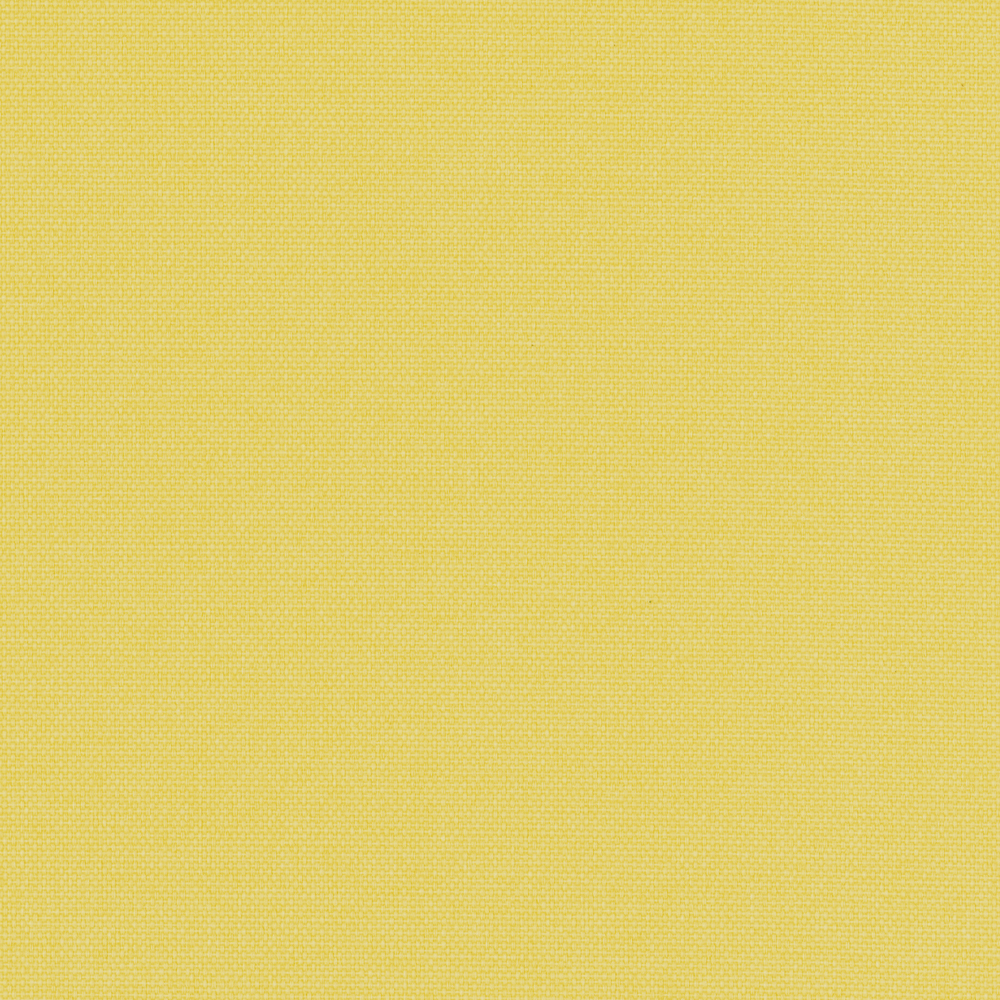 POP_BO_LEMON.jpg